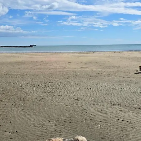 Les Dunes 캠프장 Le Grau-dʼAgde